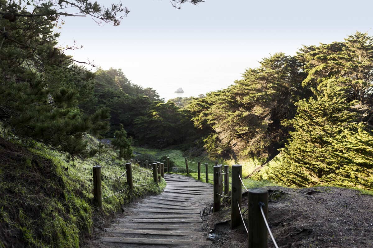 empty-trail-in-forest-2026-03-09-08-14-53-utc (2) (1)