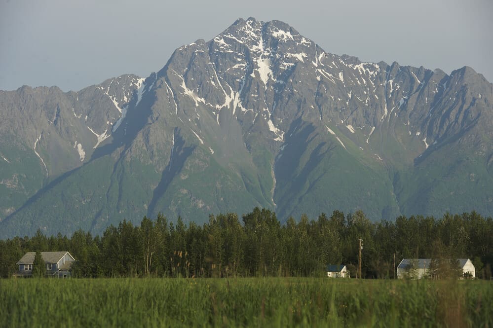 matanuska-valley-palmer-alaska-usa-2026-01-09-10-02-43-utc (1) (1)